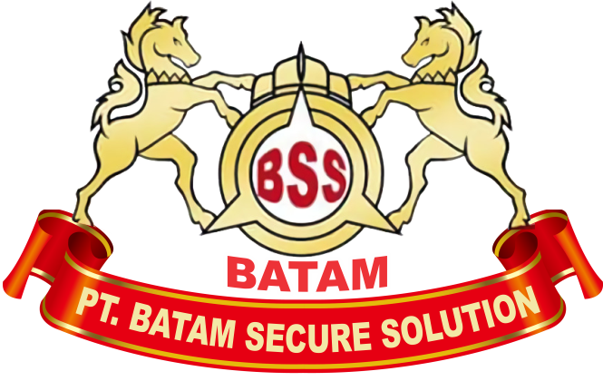 logo BSS